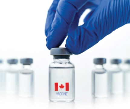 The Value of Vaccination