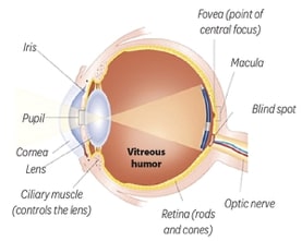 diabetic retinopathy eye