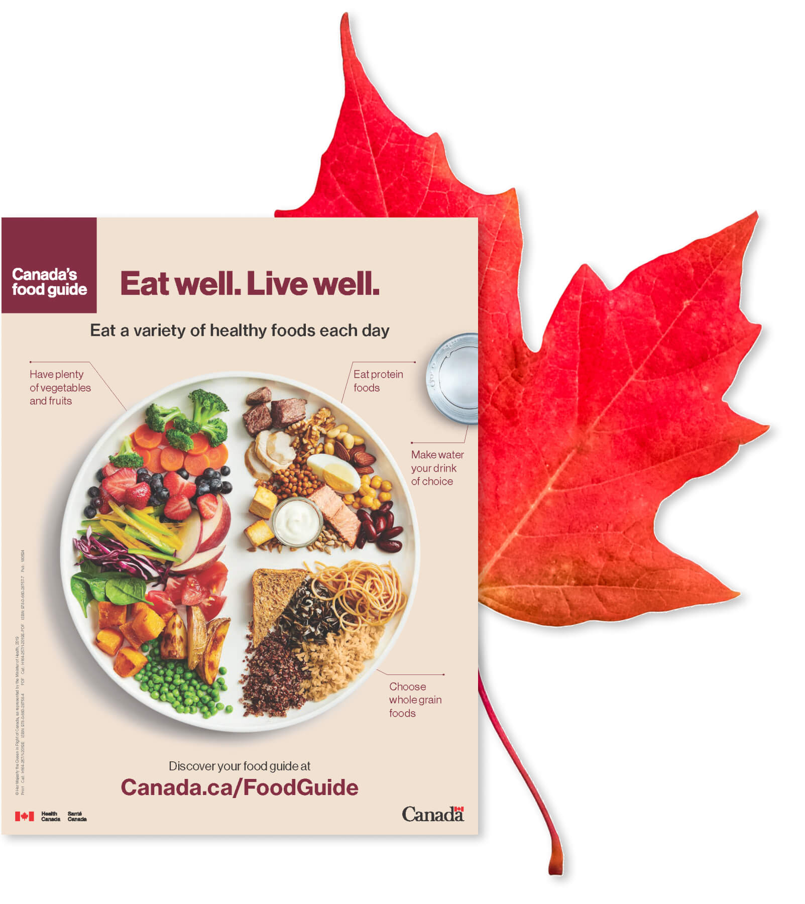 canada food guide